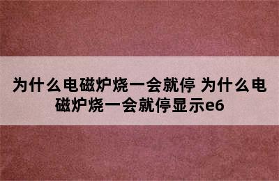 为什么电磁炉烧一会就停 为什么电磁炉烧一会就停显示e6